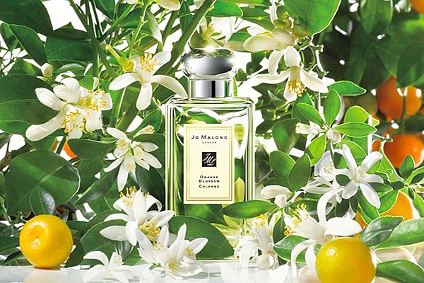 jo malone ароматы